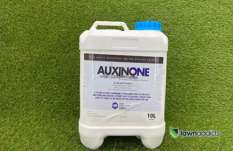 Auxinone 10l[1]