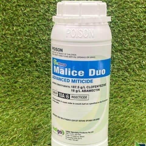 Malice Duo 1l[1]
