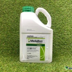 Posterity 500ml - Lawn Addicts