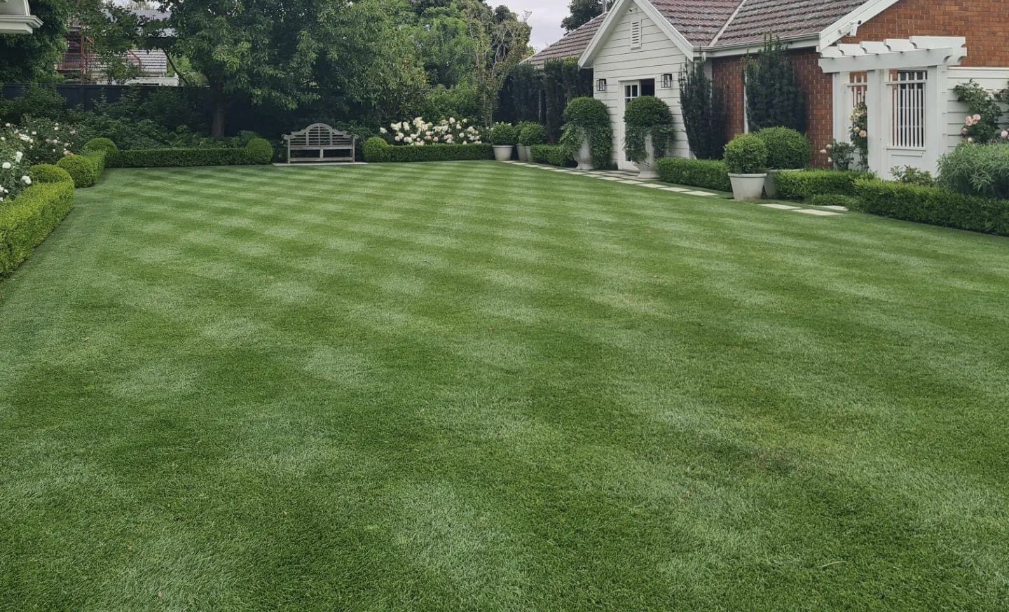 Tall Fescue RTF Lawn Addicts