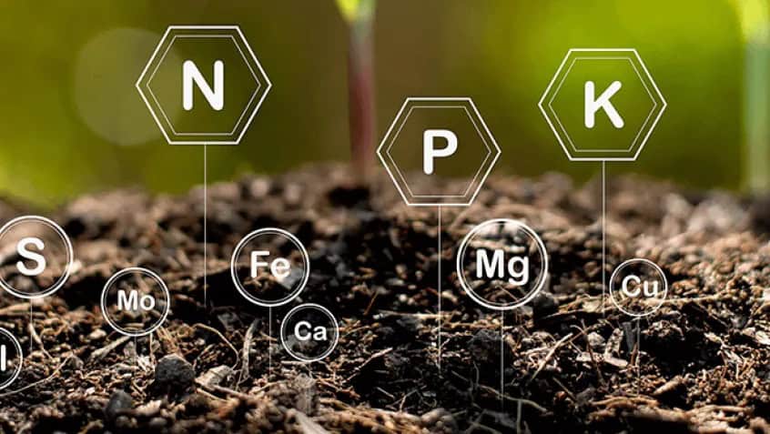 Web22 What Is In Healthy Soil