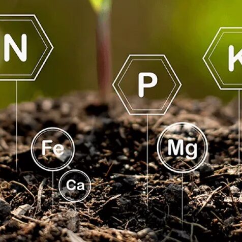 Web22 What Is In Healthy Soil