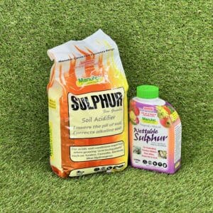 Lawn Addicts Sulphur