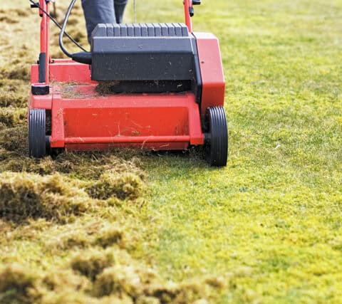 Electric Lawn Scarifier 640x427