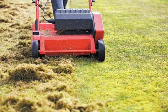 Electric Lawn Scarifier 640x427