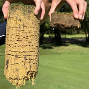 Commturf 4