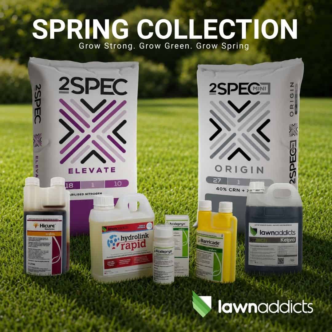 Spring Collection