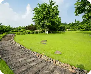 Grassland Landscape Greening Environment Park Background 1