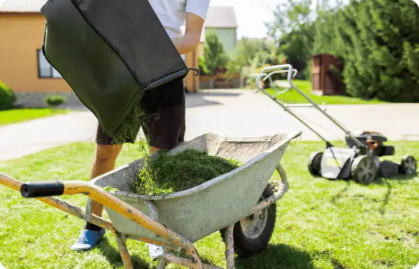 Man Unloads Mowed Grass From A Lawn S Mower Catche 2024 10 18 22 44 08 Utc